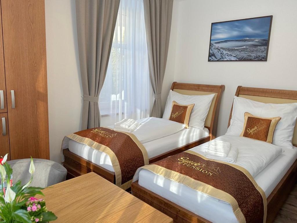 Synek Pension Spindleruv Mlyn Exterior photo