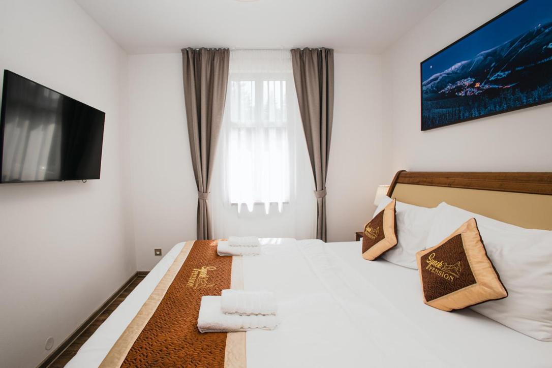 Synek Pension Spindleruv Mlyn Exterior photo